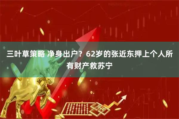 三叶草策略 净身出户？62岁的张近东押上个人所有财产救苏宁