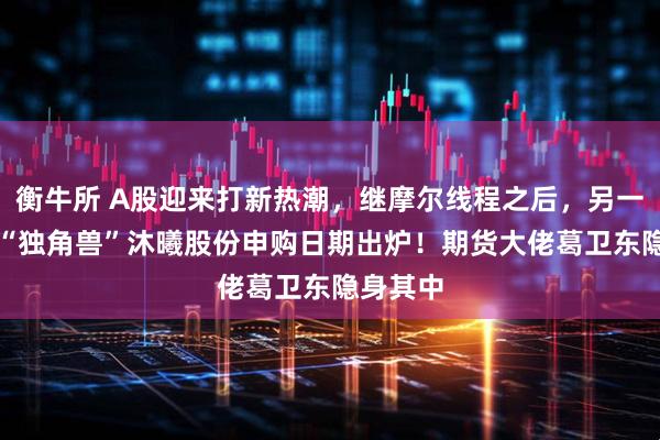 衡牛所 A股迎来打新热潮，继摩尔线程之后，另一家GPU“独角兽”沐曦股份申购日期出炉！期货大佬葛卫东隐身其中