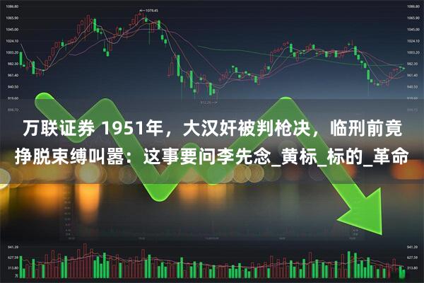 万联证券 1951年,大汉奸被判枪决,临刑前竟挣脱束缚叫嚣:这事要问李先念_黄标_标的_革命